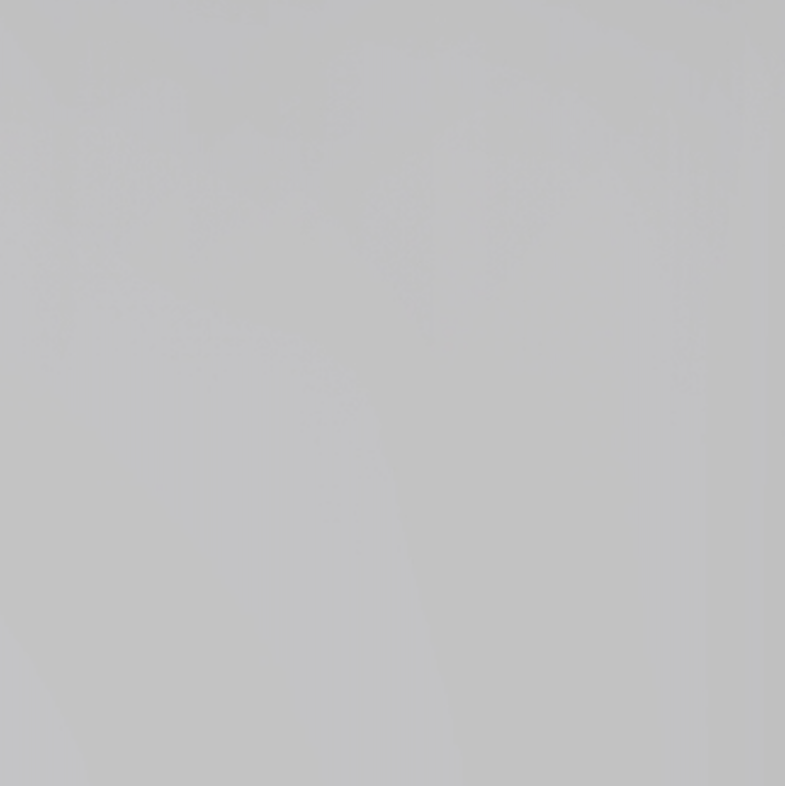 DiaperChamp ONE Standard - Argent
